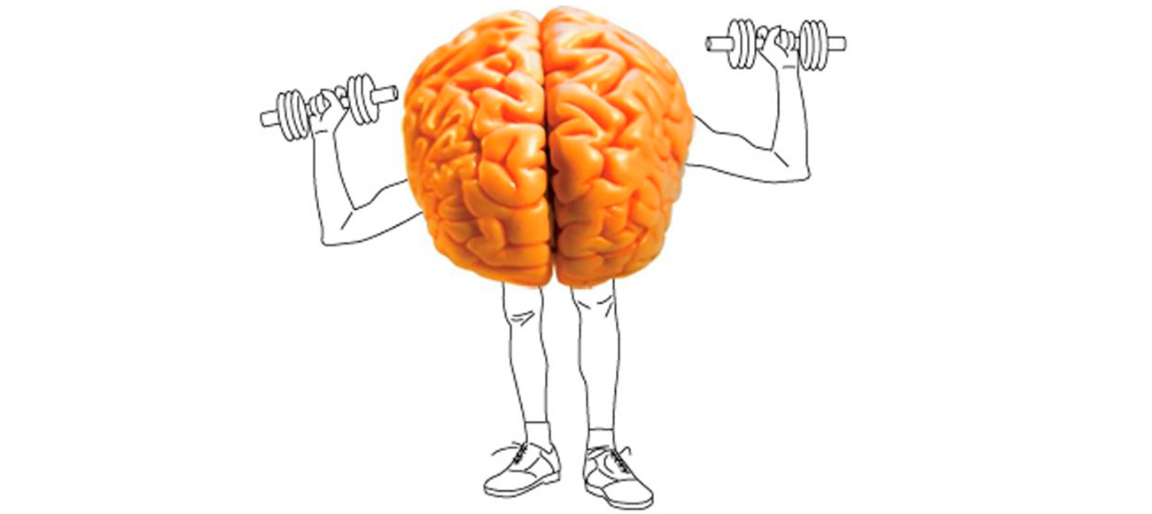 Руки развивают мозг. Тренировка мозга. Упражнения для мозга. Тренировка полушарий мозга. Мозг рисунок.